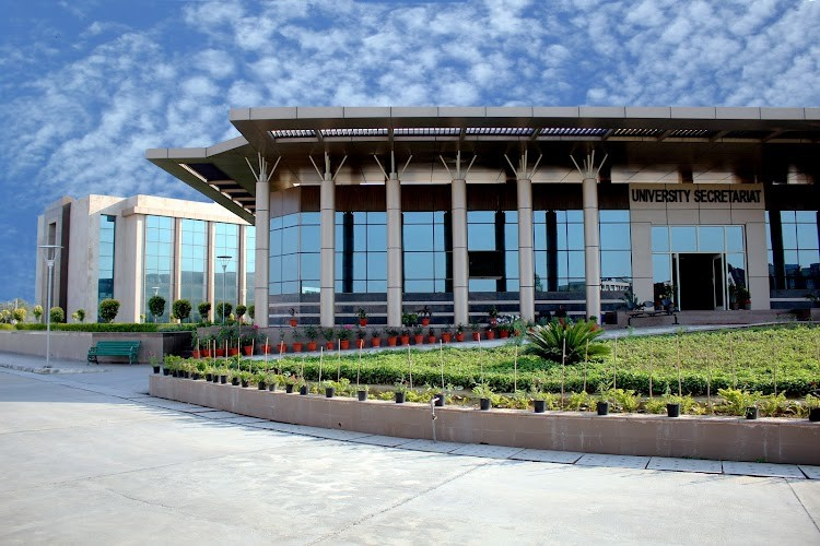 Maharishi Dayanand University